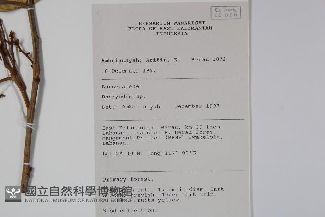 登錄號:S058836藏品圖，第2張