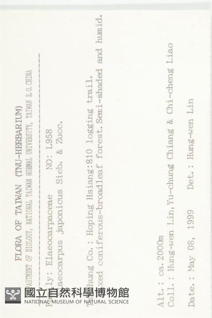 薯豆藏品圖，第2張