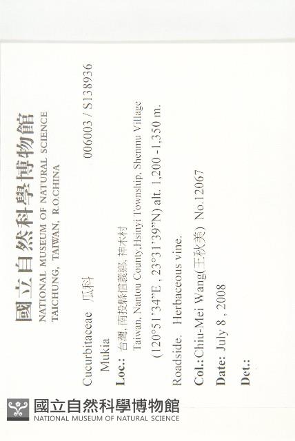 登錄號:S138936藏品圖，第2張