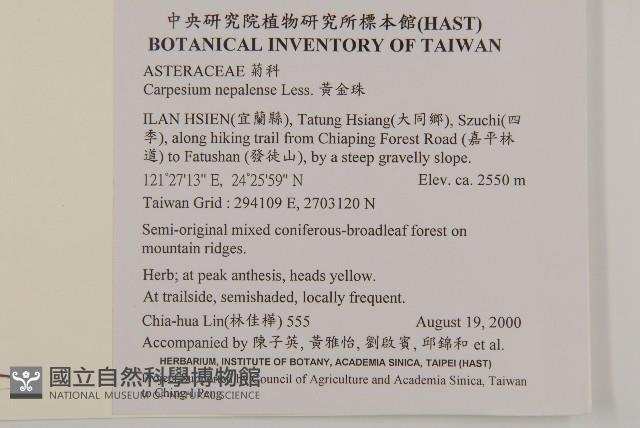 黃金珠藏品圖，第2張