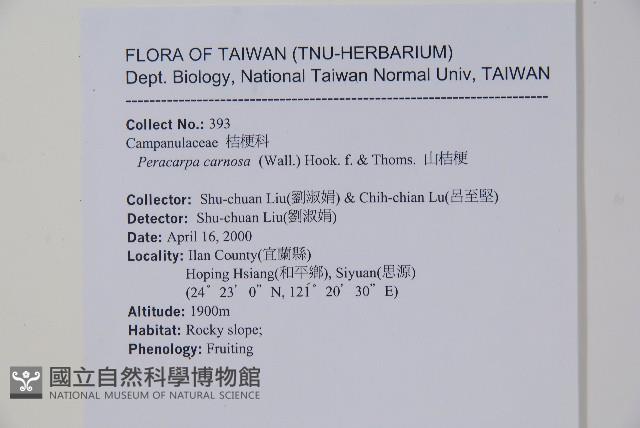 山桔梗藏品圖，第2張