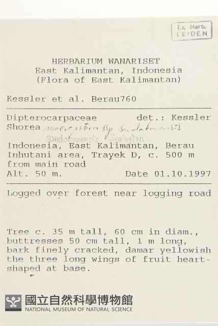 登錄號:S058866藏品圖，第2張