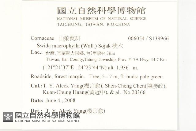 梜木藏品圖，第2張