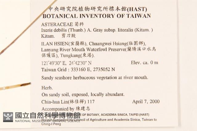 剪刀股藏品圖，第2張