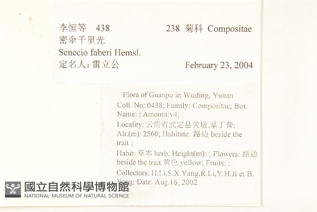 密傘千里光藏品圖，第2張