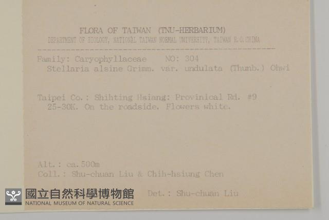 天蓬草、雀舌草藏品圖，第2張