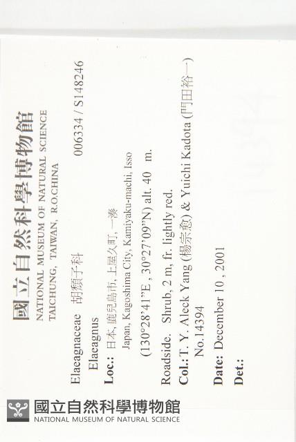 登錄號:S148246藏品圖，第2張