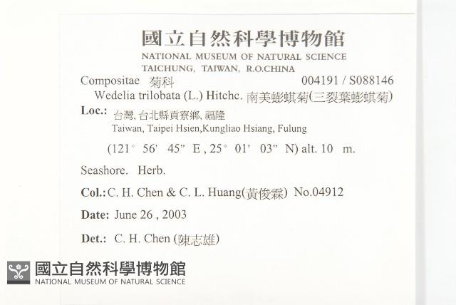 南美蟛蜞菊、三裂葉蟛蜞菊藏品圖，第2張