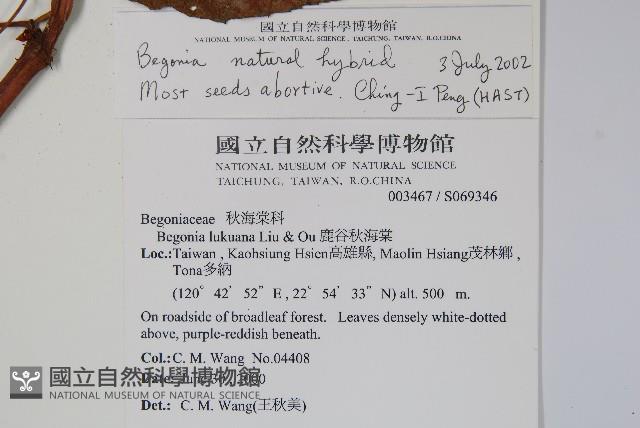 登錄號:S069346藏品圖，第2張