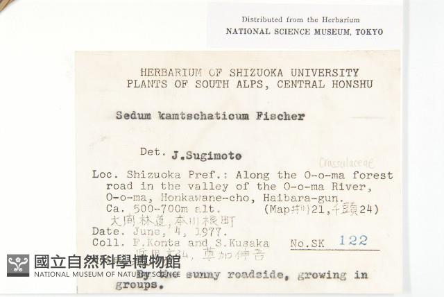 堪察加費菜藏品圖，第2張