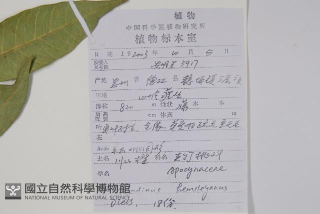 川山橙藏品圖，第2張