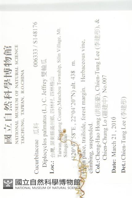 雙輪瓜藏品圖，第2張