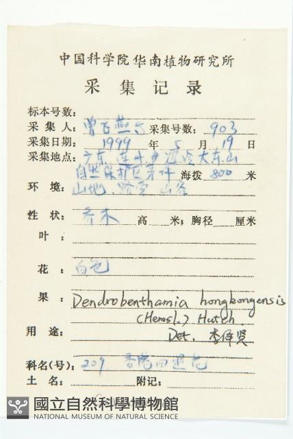 香港四照花藏品圖，第2張