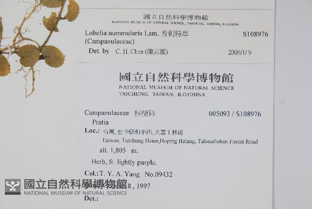 普刺特草藏品圖，第2張