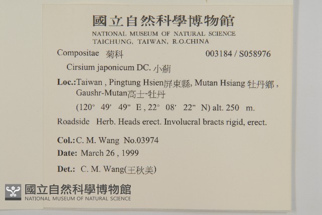小薊藏品圖，第2張