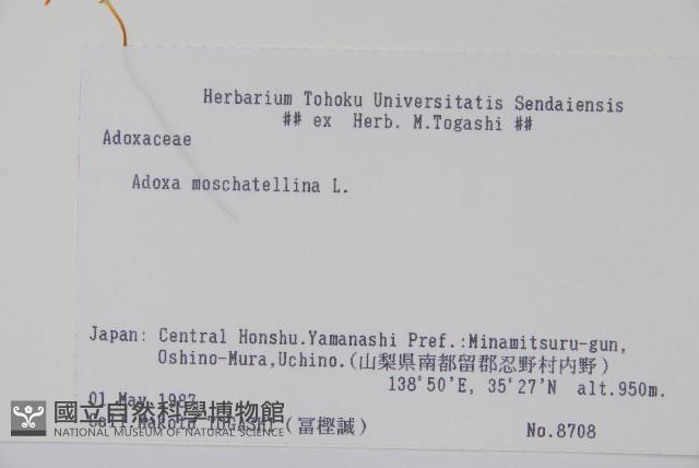 Accession Number:S058576 Collection Image, Figure 2, Total 2 Figures