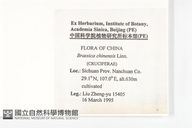 Pickled cabbage Collection Image, Figure 2, Total 2 Figures