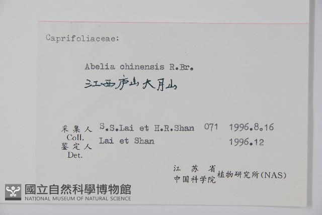 臺灣糯米條藏品圖，第2張