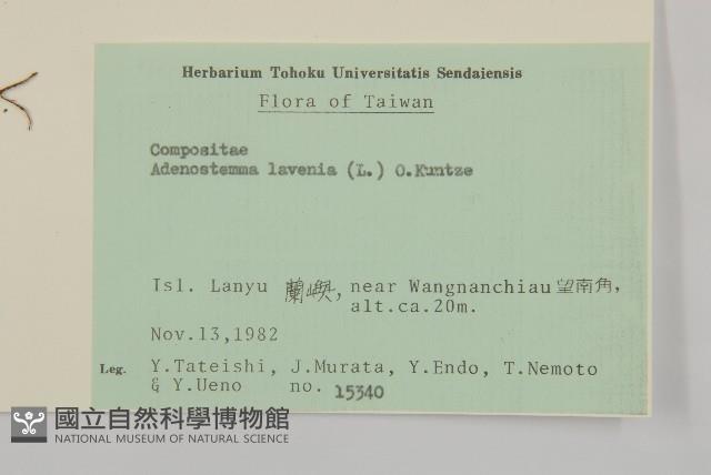 下田菊藏品圖，第2張