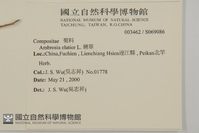 豬草藏品圖，第2張