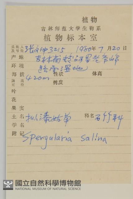 擬漆姑藏品圖，第2張