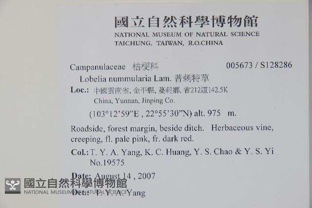 普刺特草藏品圖，第2張