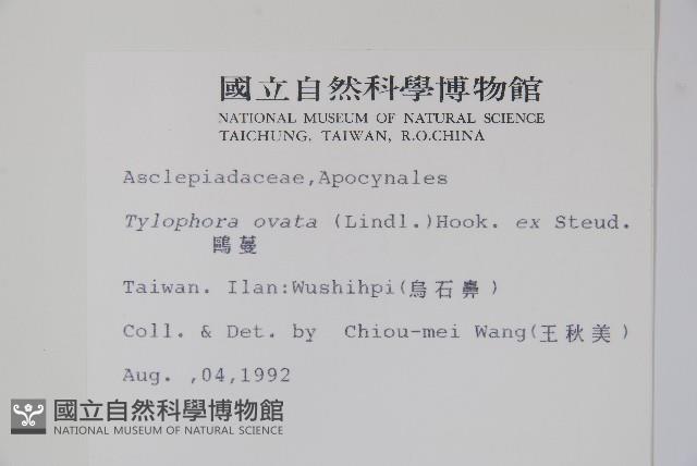 鷗蔓藏品圖，第2張