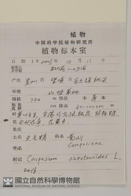 天名精藏品圖，第2張