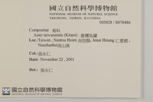 臺灣馬蘭藏品圖，第2張