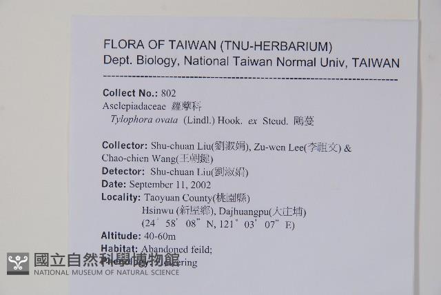 鷗蔓藏品圖，第2張