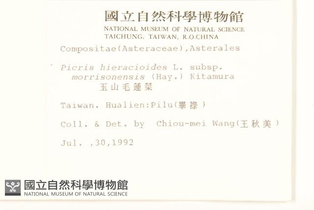 玉山毛蓮菜藏品圖，第2張