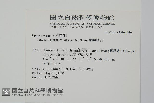 蘭嶼絡石藏品圖，第2張