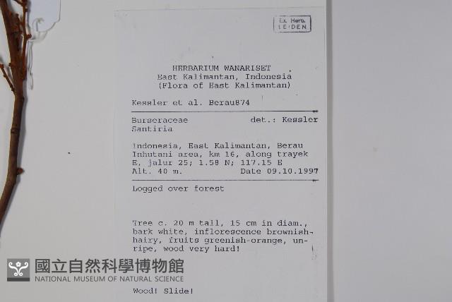 登錄號:S058886藏品圖，第2張