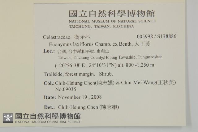 大丁黃藏品圖，第2張