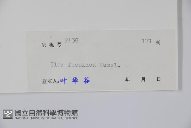 臺灣糊樗藏品圖，第2張