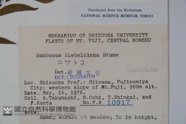 登錄號:S048986藏品圖，第2張