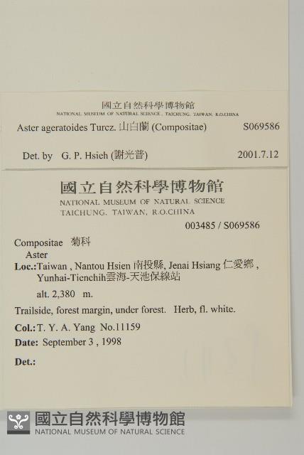 山白蘭藏品圖，第2張