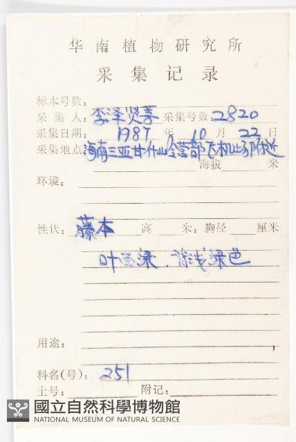 野牽牛藏品圖，第2張