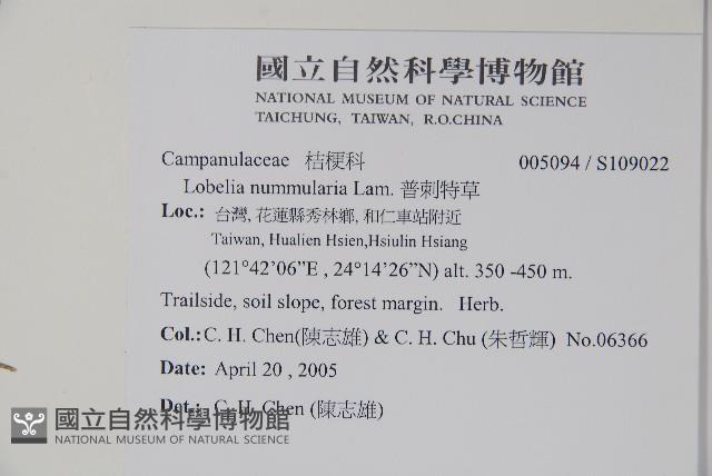 普刺特草藏品圖，第2張