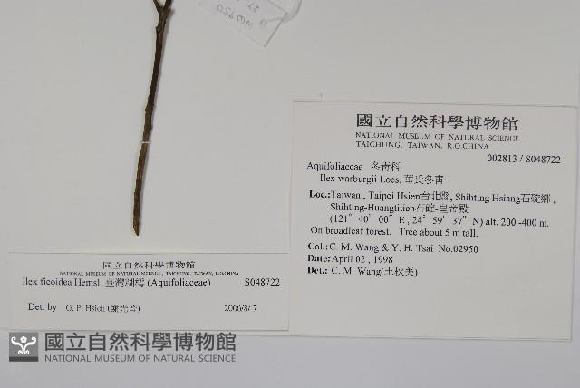 臺灣糊樗藏品圖，第2張