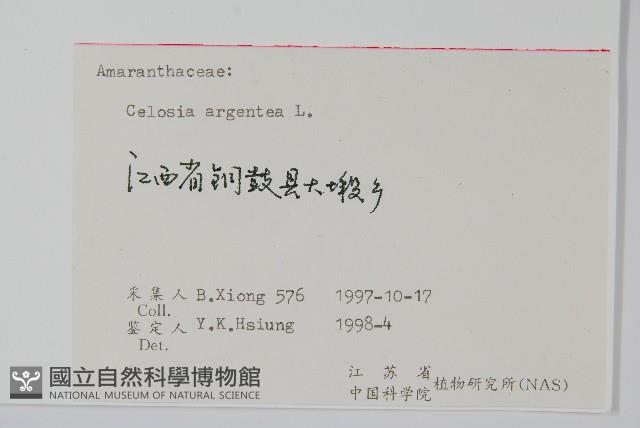 青葙藏品圖，第2張