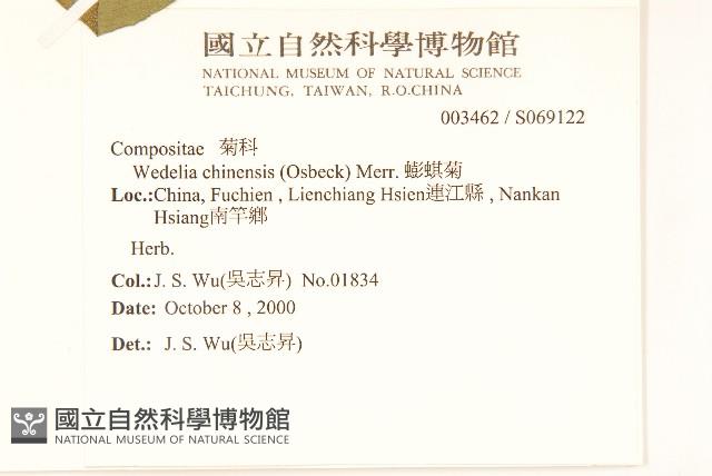 蟛蜞菊藏品圖，第2張