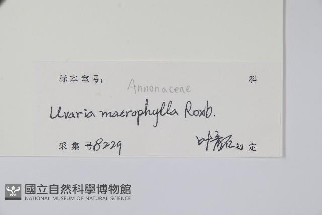 登錄號:S129322藏品圖，第2張