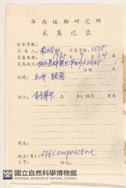 紅面番藏品圖，第2張