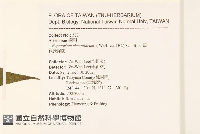 田代氏澤蘭藏品圖，第2張