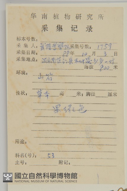 牛繁縷藏品圖，第2張