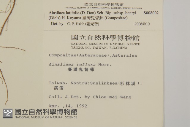 臺灣鬼督郵藏品圖，第2張