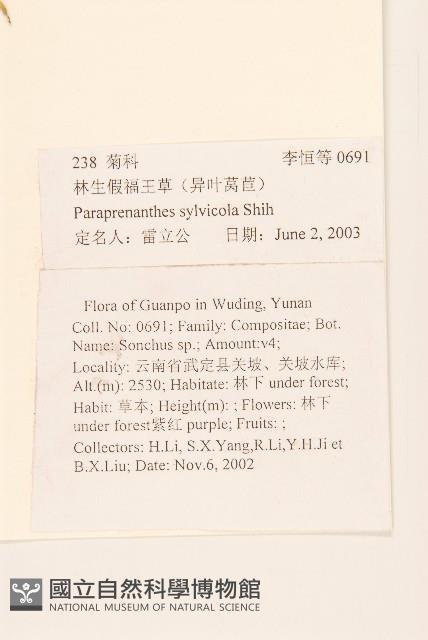 林生假福王草藏品圖，第2張