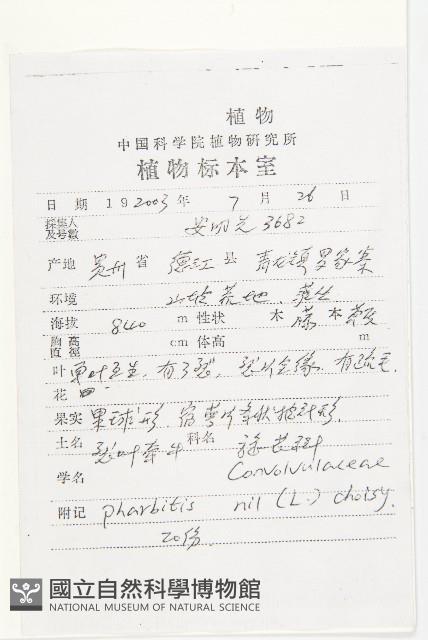 裂葉牽牛藏品圖，第2張