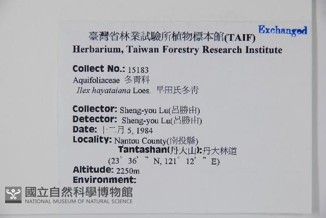 早田氏冬青藏品圖，第2張